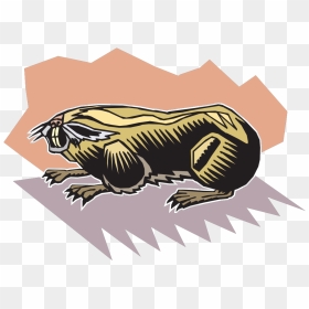 Stylized Mole Svg Clip Arts - Portable Network Graphics, HD Png Download - mole png