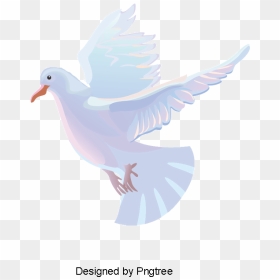 Transparent Paloma Clipart - Pigeons And Doves, HD Png Download - palomas png