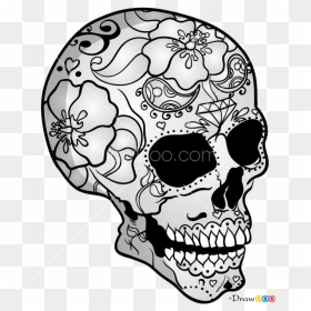 Transparent Skeletons Clipart - Skeleton Drawing Skull, HD Png Download - skull drawing png