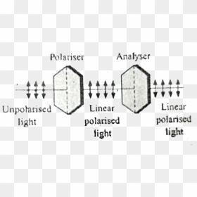 Diagram, HD Png Download - polaroid vector png