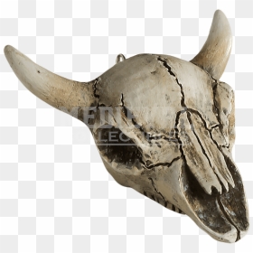 Cow Skull Png - Skull, Transparent Png - skull drawing png