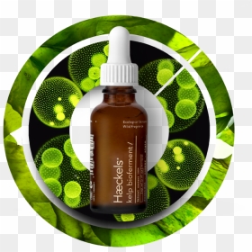 What Is Kelp Bioferment - Cosmetics, HD Png Download - algae png