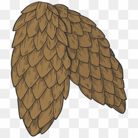 Pine Cones Clipart - Sharp Shinned Hawk, HD Png Download - pine cones png