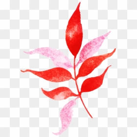 Floral Design, HD Png Download - rose petals falling png