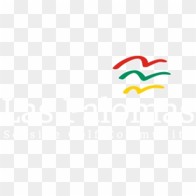 Las Palomas, HD Png Download - palomas png