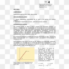 Document, HD Png Download - vectores lineas png