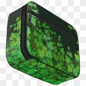 Vines - Vines - Vines - Vines - Vines - Stained Glass - Window, HD Png Download - green vines png