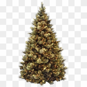 Carolina Pine Christmas Tree, HD Png Download - moldura de natal png
