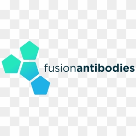 Cité Du Design, HD Png Download - antibody png