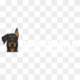 Pattern, HD Png Download - doberman png