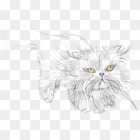 Transparent Fat Cat Png - Sketch, Png Download - fat cat png