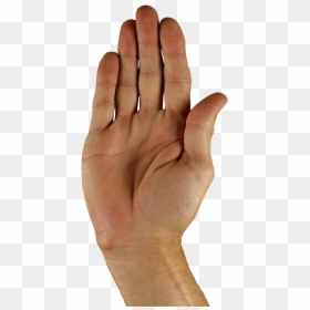 Stop Hand Vector Png, Transparent Png - vhv