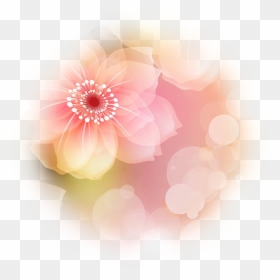 Point Of Light Png - Dahlia, Transparent Png - point of light png