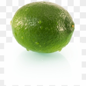 Te Puna Limes Story Growing Superior Fresh Delivered - Persian Lime, HD Png Download - limes png