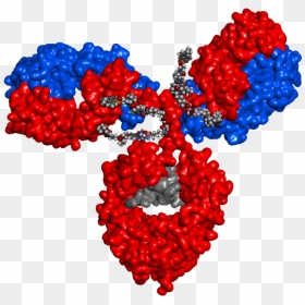 Antibody Drug Conjugate Structure, HD Png Download - antibody png