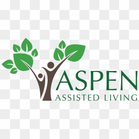 Transparent Aspen Tree Png - University Of Calgary Haskayne Logo, Png Download - aspen tree png