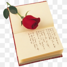 Transparent Rosas Rojas Png - Rose St Georges Day, Png Download - rosas rojas png