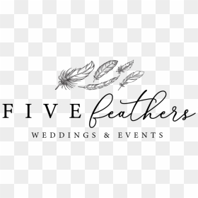 Transparent Black Feathers Png - Calligraphy, Png Download - black feathers png