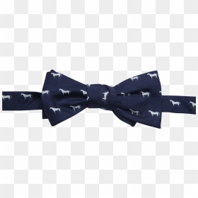 Winners Circle Bowtie Bow Tie- - Donkey, HD Png Download - corbata png