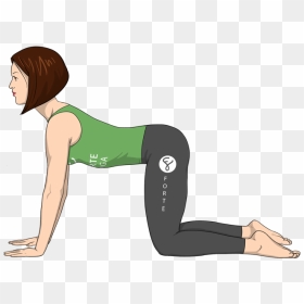 Cat Cow Pose Sanskrit, HD Png Download - yoga pose png