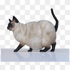Fat Cat From April Suggestion Renders - Transparent Images Fat Cat, HD Png Download - fat cat png