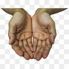 Transparent Stop Hand Png - Holding Hands Out Png, Png Download - stop hand png