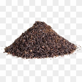 Compost Pile Png Transparent, Png Download - algae png