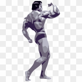 Bodybuilding Arnold Schwarzenegger Artwork, HD Png Download - body builder png