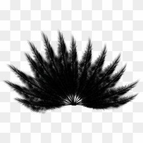 Birds, HD Png Download - falling feathers png