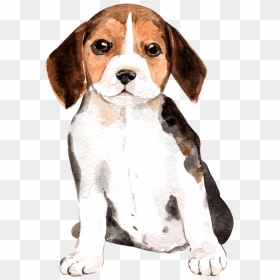 Beagle-harrier, HD Png Download - beagle png