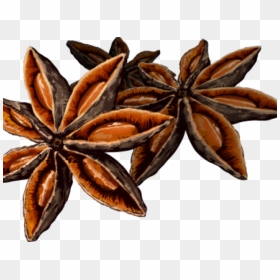 Spice Star Anise Png Clipart , Png Download - Star Of Anise Png, Transparent Png - spice png