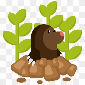 Mole Animal Clipart - Vector Graphics, HD Png Download - mole png
