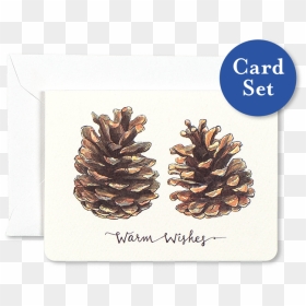 Pinecones Warm Wishes Mini Card Set Of - Dj Cam Loa Project, HD Png Download - pine cones png