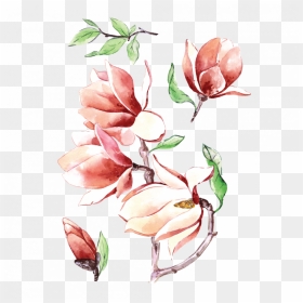 Magnolia , Png Download - Coloured Tattoo Flower Png, Transparent Png - magnolia png
