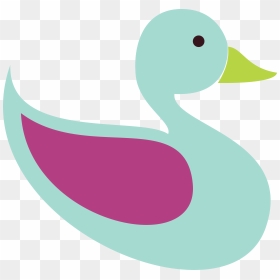 Mallard, HD Png Download - indian feather png