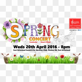 Spring Concert - Lady Tulip, HD Png Download - concert png