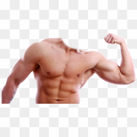 Clip Art Freeuse Body Builder Photo Suit App Ranking - Muscular Body Transparent Background, HD Png Download - body builder png
