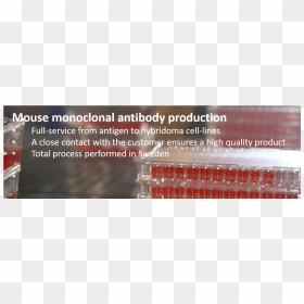 Antibody Png, Transparent Png - antibody png