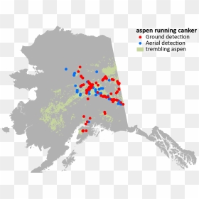 Alaska House Of Representatives Map, HD Png Download - aspen tree png