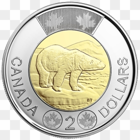 Money Roll Drawing A T Paintingvalley Com Explore - Canadian Toonie, HD Png Download - money roll png