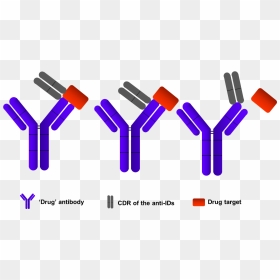 Elisa Assays Development - Anti Drug Antibody, HD Png Download - antibody png