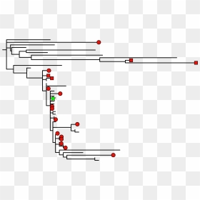 Diagram, HD Png Download - antibody png