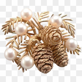 Jewellery, HD Png Download - pine cones png
