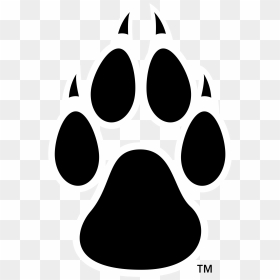 Logo De Un Lobo, HD Png Download - lobo png