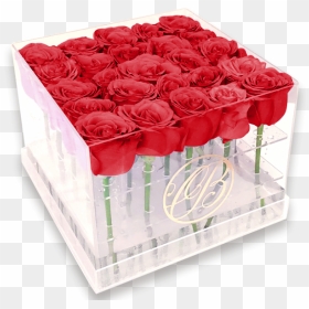 Caja De Acrílico Rosas Rojas - Cajas De Rosas En Acrilico, HD Png Download - rosas rojas png