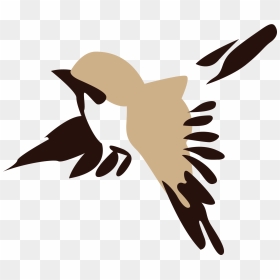Chinese Drawing Birds, HD Png Download - falling feathers png