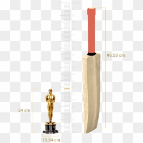 Oscar Height Comparison - Trophy, HD Png Download - oscar statue png