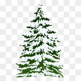 Merry Christmas Tree Png - Watercolor Snowy Pine Tree, Transparent Png - xmas tree png