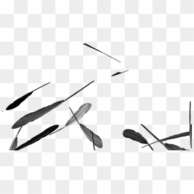 Clip Art, HD Png Download - falling feathers png