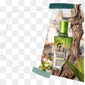 Gin De France - Glass Bottle, HD Png Download - vine texture png